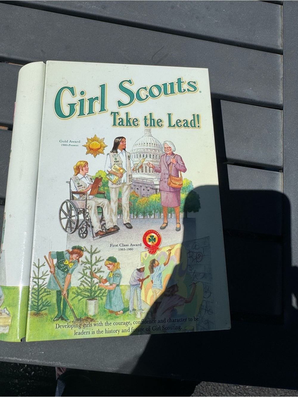 Girl Scouts "Take the Lead!" Vintage Book Cover - White & Green tin